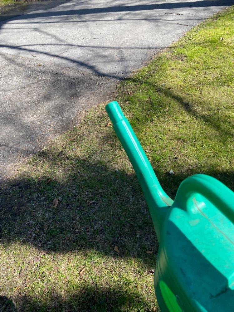 IMG_1301.jpeg.99488148f29906b70d8d601bc906564e.jpeg