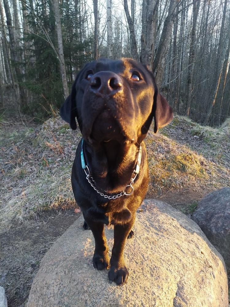 IMG_20260508_181028_158.jpg.d67dd90bf55fe9a9ce6e55b6dce8c1d7.jpg