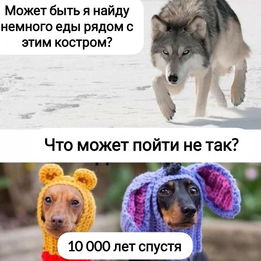 klW3_zbd42cNrZiGKuLx1bJoYLgDnIbgYgLJ52oWARhnMJr5-4Mb254CGd8o5lafSWnycJ4ZmbhjAg8zf7_m3bSZ.jpg.24139d91f1a716c903458e7d59e9a245.jpg