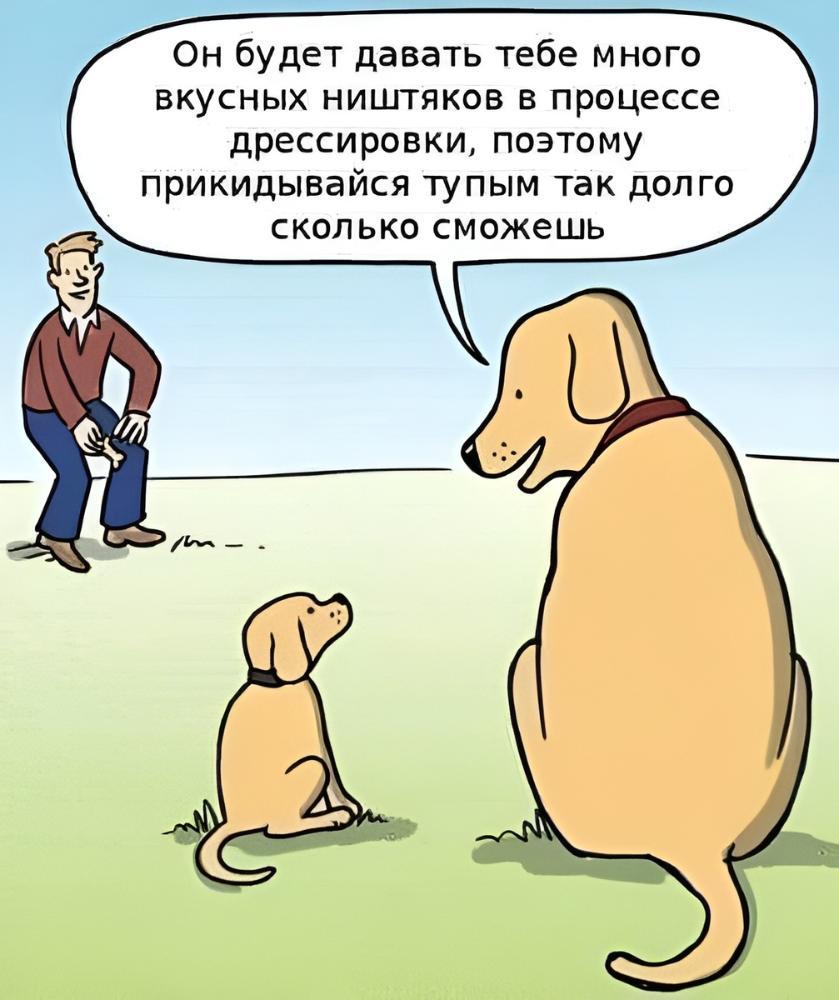 scale_1200.jpg.f9cac9da19c895a36c233b0756824ac3.jpg