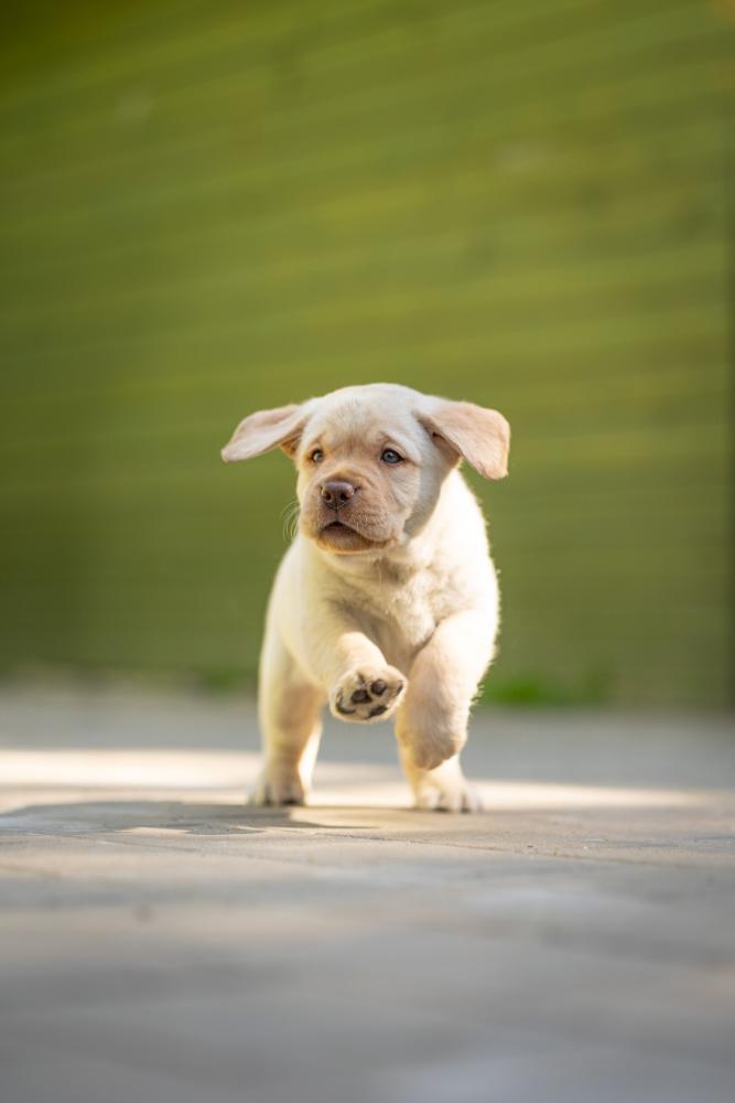 1(7).jpg.fd0c5ed7e10bf8d21cf74677ec7bf007.jpg