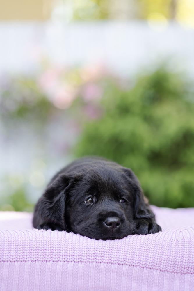 3(8).jpg.19ca8728ef9974bd0fe3e3940f2c516b.jpg