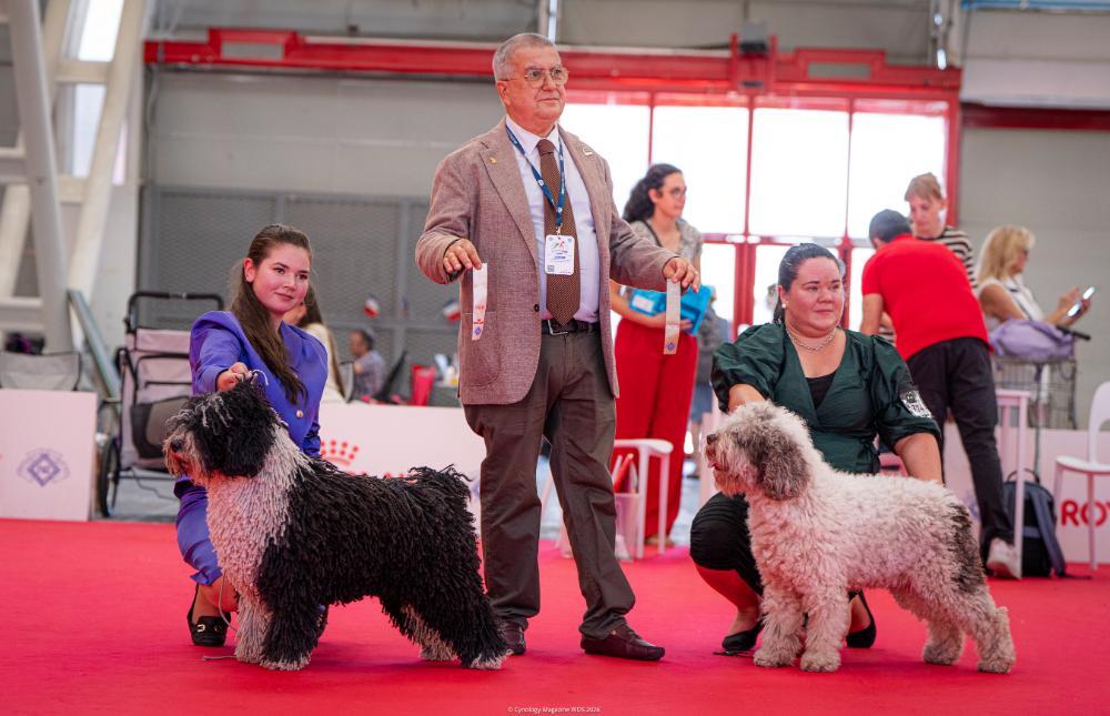 DSC03175.jpg.1b76736c3fd0e5d216f30800044b369c.jpg