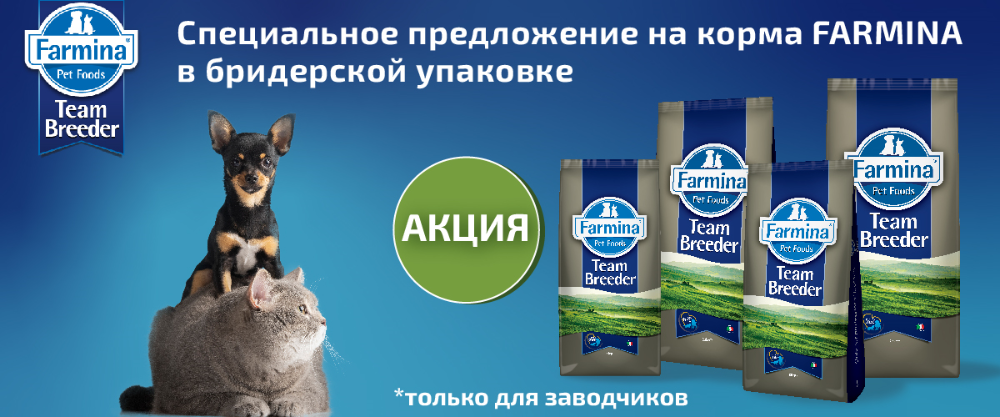image.png.780a053f9cc017330a5f3f0df0bb3034.png