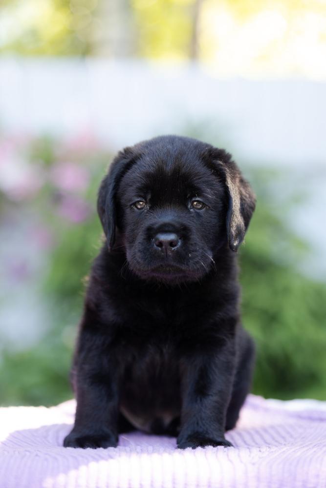 1(6).jpg.984a336a7a5752d3bc72aac9fe99dca4.jpg