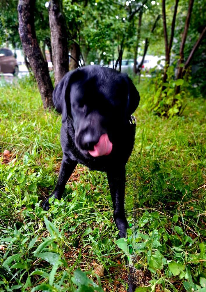 20260726_173911.jpg.5aa19edae5f419ac6094cdc37ca1c441.jpg