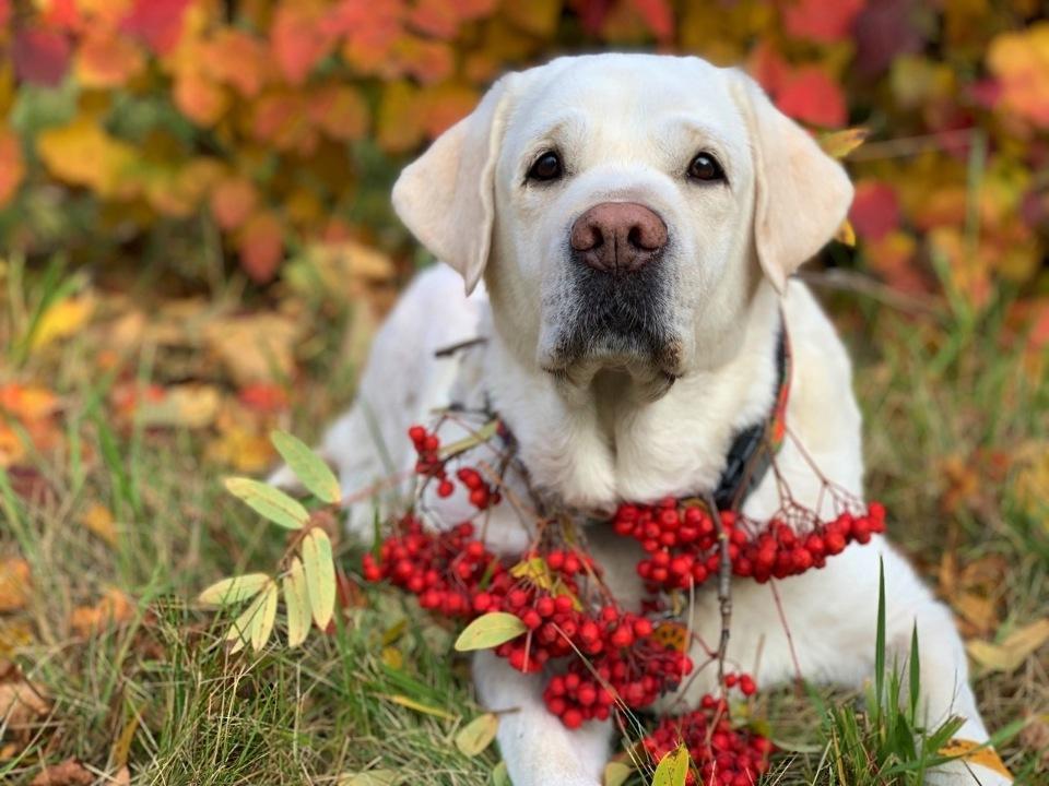 7f27a5061eb0.jpg.b51ad119b3781172c002cb9b15df43f0.jpg