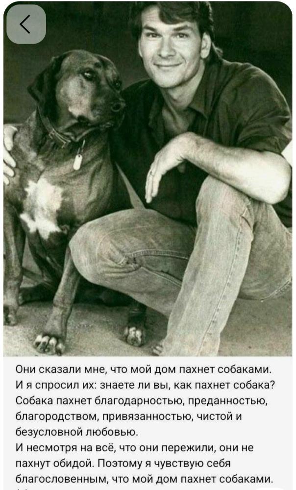 Screenshot_20260722_130716_Pinterest.jpg.e499e88e498fd5757c581e006c8035d6.jpg
