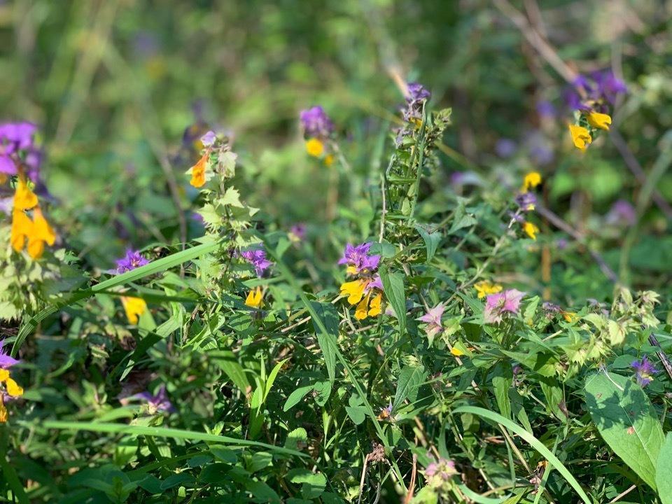 fec27337f767.jpg.05d2bcd56da315d4a87e22239d0740c3.jpg