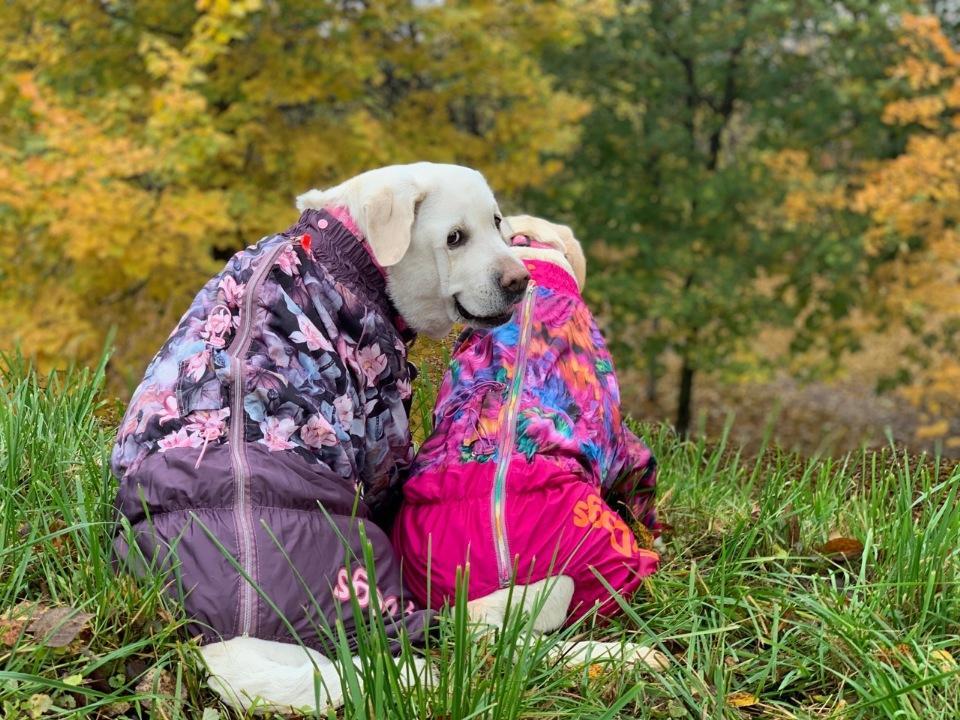 0c327889cf37.jpg.e88d7b1d75625f6690dad30dca04cc0e.jpg