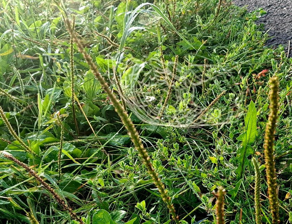 20260822_063429.jpg.a5f4bf9fdaf6c6a8822f88fd4274bf4b.jpg