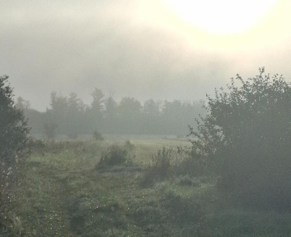 20260822_063914.jpg.29f6d8ac5083dbb49d50b2f7f0710979.jpg