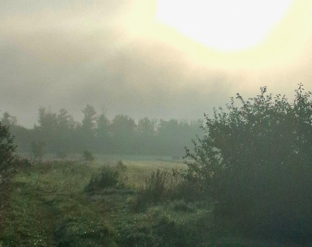 20260822_063919.jpg.30bcf481b7ee5a54ecc64a9a3eedfc2b.jpg