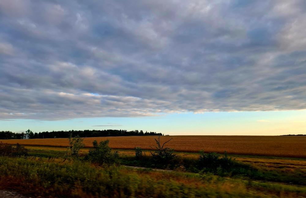 20260825_061742.jpg.f7244eccf64852f6677db8364c4442e9.jpg