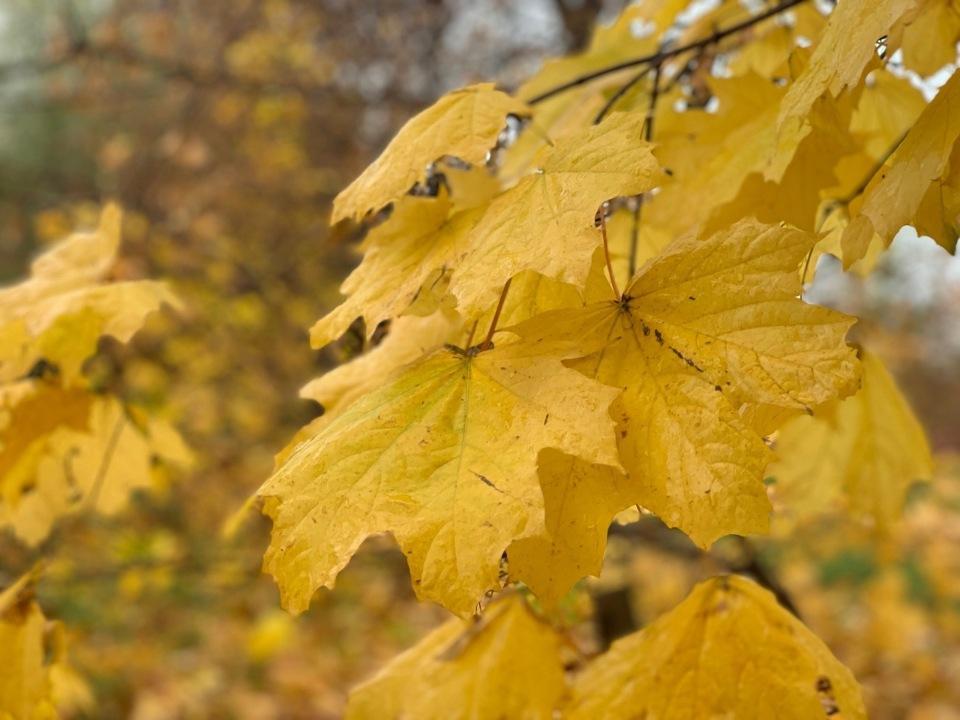 9b2845728923.jpg.59a11e267a323583677627b08ed1624a.jpg