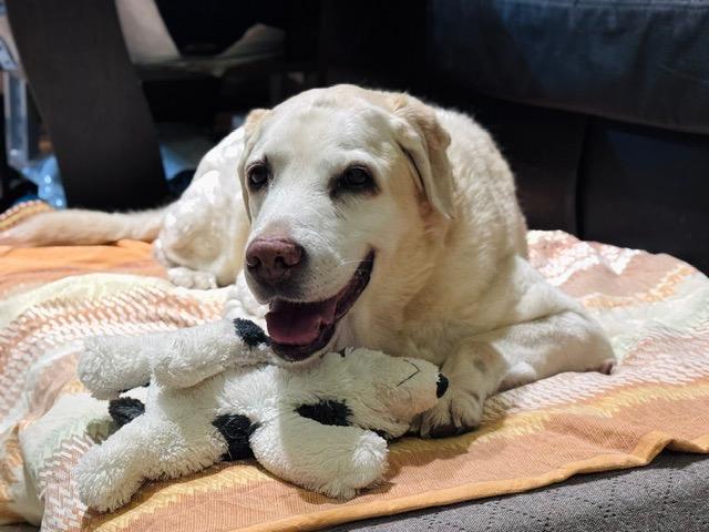 IMG_3835.jpeg.4d701e413ccbe9f53a06cbc2da8c0eab.jpeg