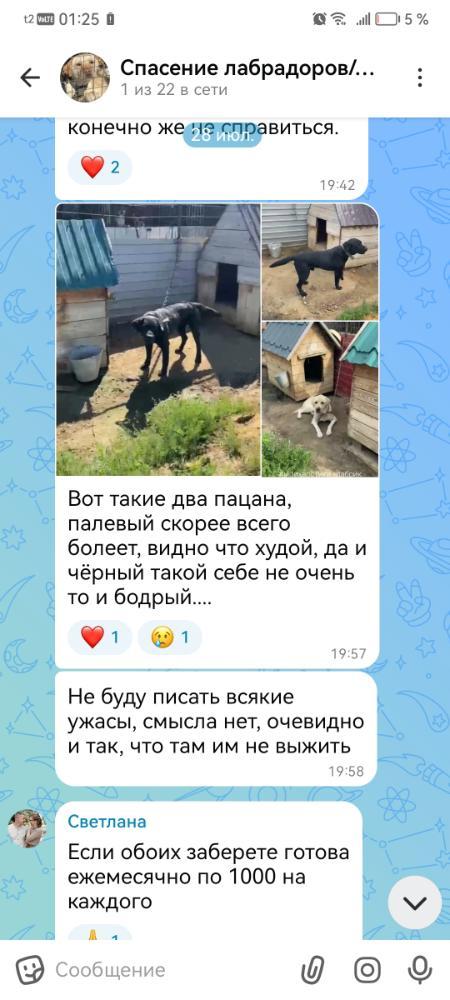 Screenshot_20260823_012522_ru.oneme_app.jpg.bdec290d9827fa002defdea635a929de.jpg