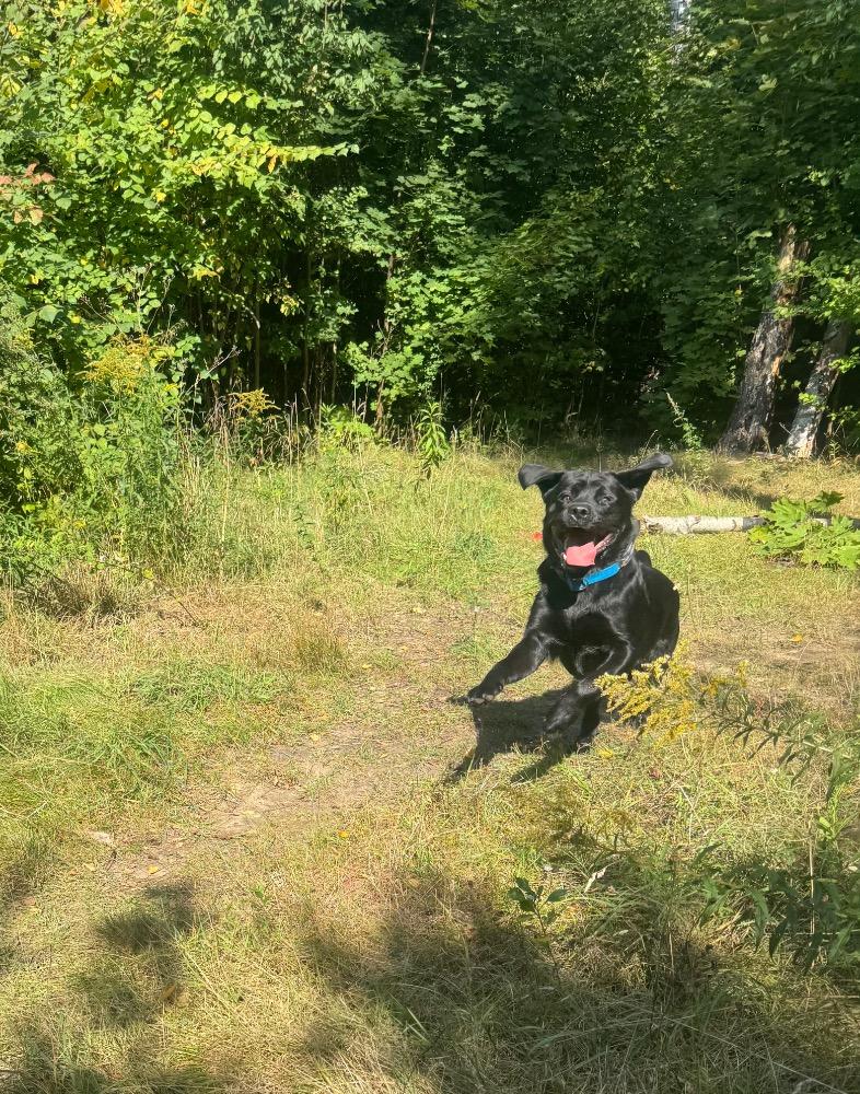 IMG_0125.jpeg.2c83dc6f9c5121a336d66cc581d6c4d7.jpeg