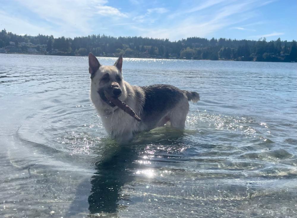 IMG_4482.jpeg.4f3410a6e6b165dbb8aa5493d3cc7046.jpeg