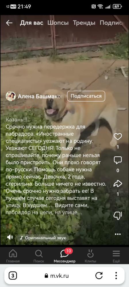 Screenshot_20260902_214958_com.yandex.browser.jpg.2804c089ad5a1c76a6c242d9e9d6cba5.jpg