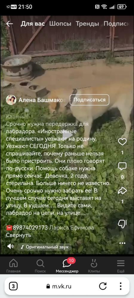 Screenshot_20260902_215008_com.yandex.browser.jpg.575fcf92ff5f3ab10a16b03b7e9f8991.jpg