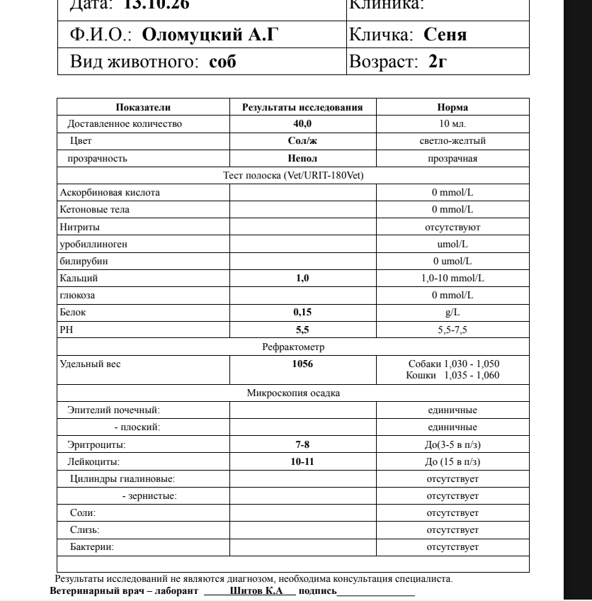 2026-10-13_19-23-34.png.c1ac0b2cfba4181cbf5d5578ddcfb024.png