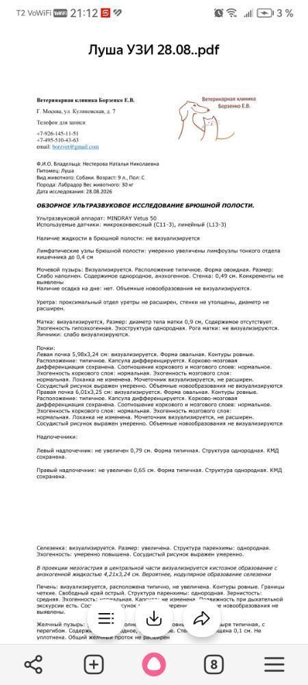 Screenshot_20260828_211225_com.yandex.browser.jpg.4acc7eb28a99fcc6ea0d6060af663fa9(1).jpg.2c0ecccfe3b742a2383850d4d2470288.jpg