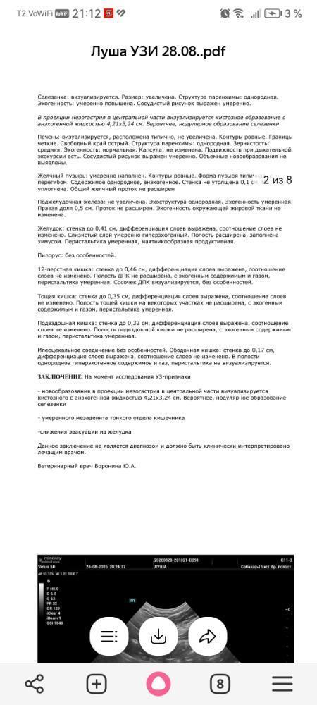 Screenshot_20260828_211229_com.yandex.browser.jpg.555af0c9cbe3675e9bf469277fb35e8f(1).jpg.751519db0f0d69b3f83f019c1a29a31f.jpg