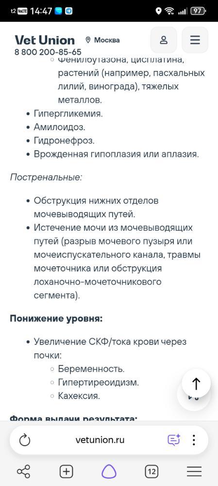 Screenshot_20261010_144727_com.yandex.browser.jpg.4f4243371de171b488216bf5c0aad9f6.jpg