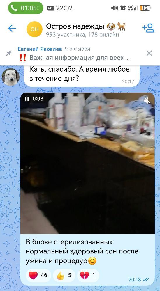 Screenshot_20261017_220746.jpg.fa497f476d35774c99a287735e9bf4f6.jpg