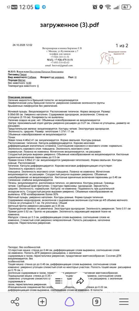 Screenshot_20261024_120521_com.yandex.browser.jpg.c0dbf0527b523df08d1f96aefd8e6311.jpg