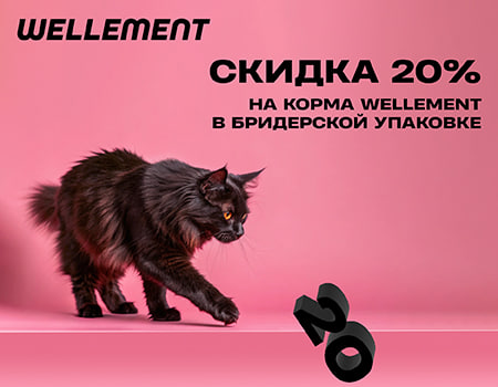 image.png.69843d79898abb77369f155f24003a2c.png